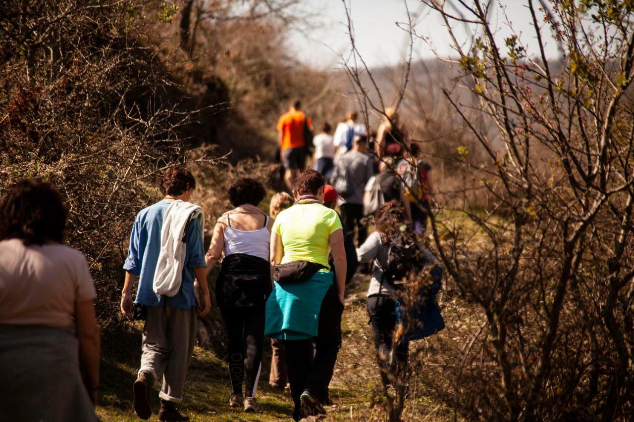 Gospodarstwo wiejskie Rural Camero Viejo